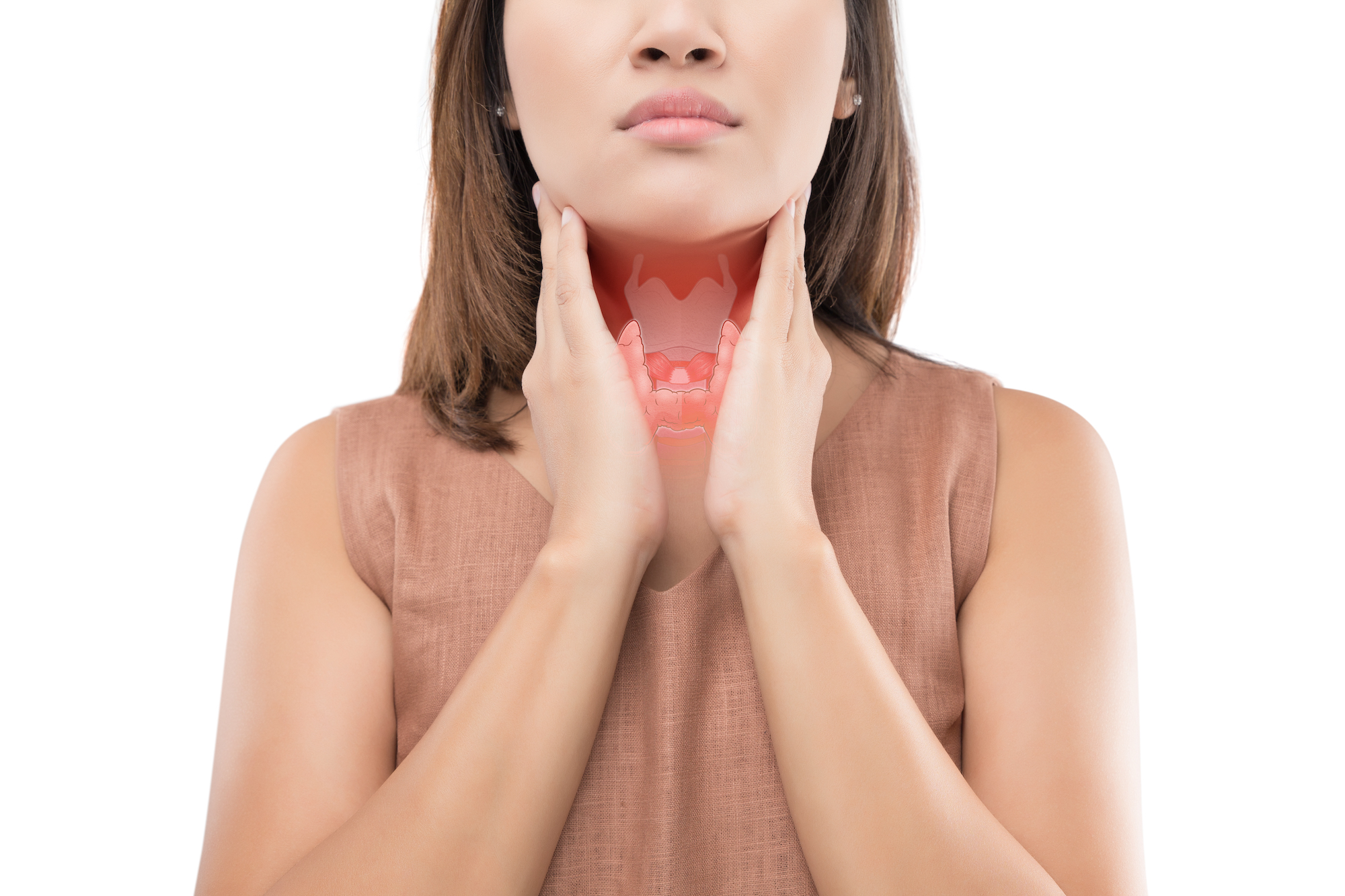 El tiroides y sus patologías