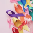 Cancer, evidencia científica, profesional farmacéutico.