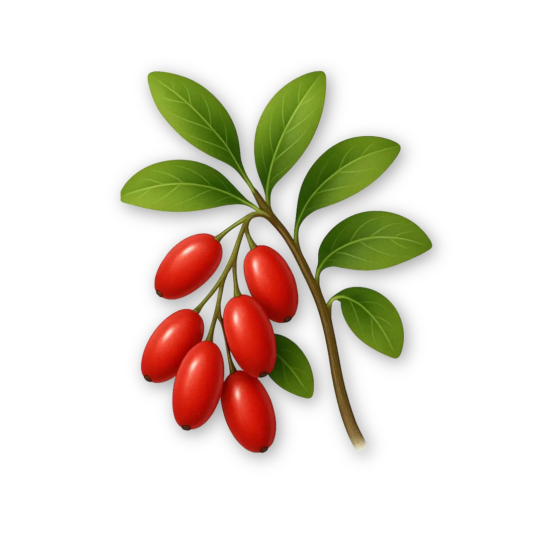 Berberina